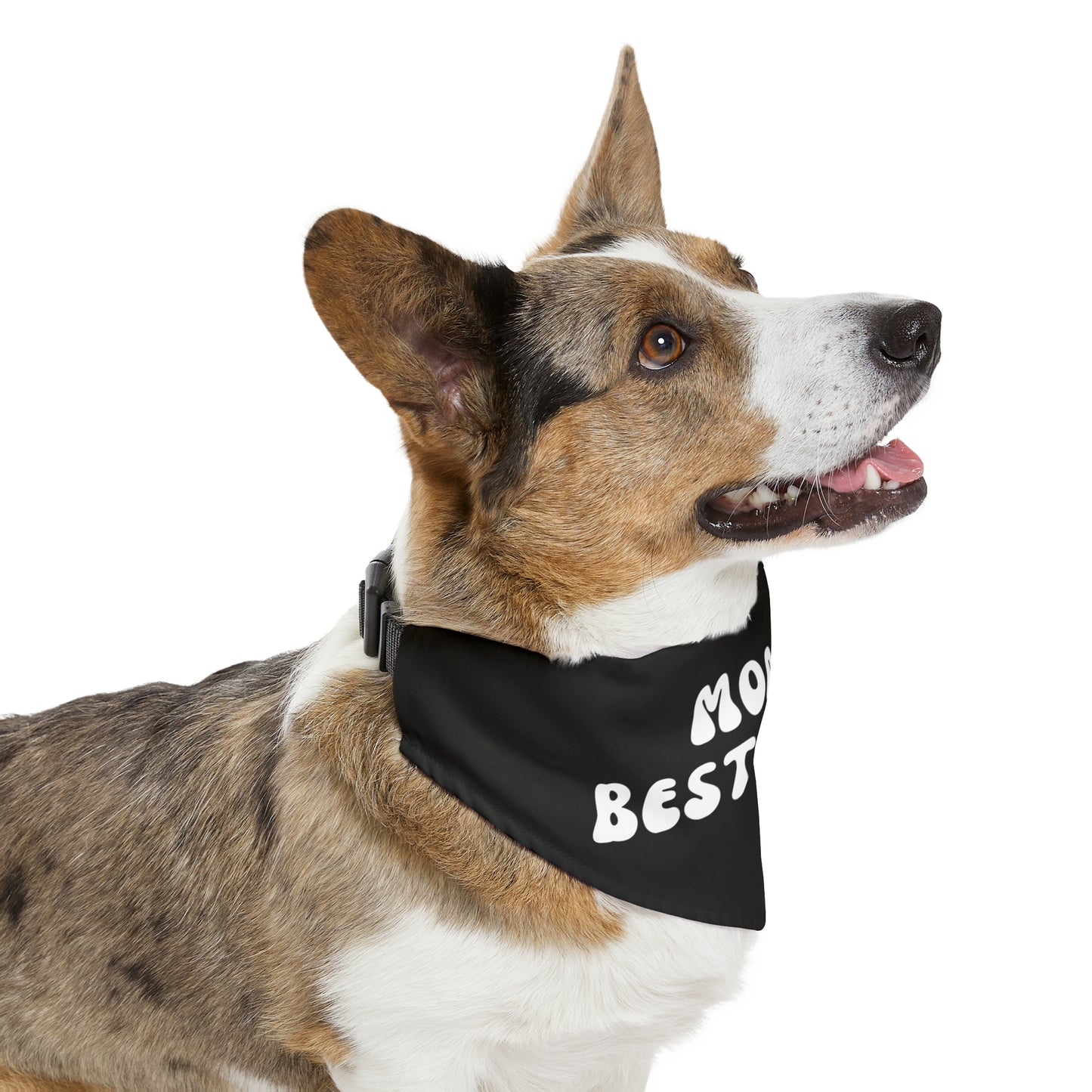 Mom's Best Friend ~ Pet Bandana Collar