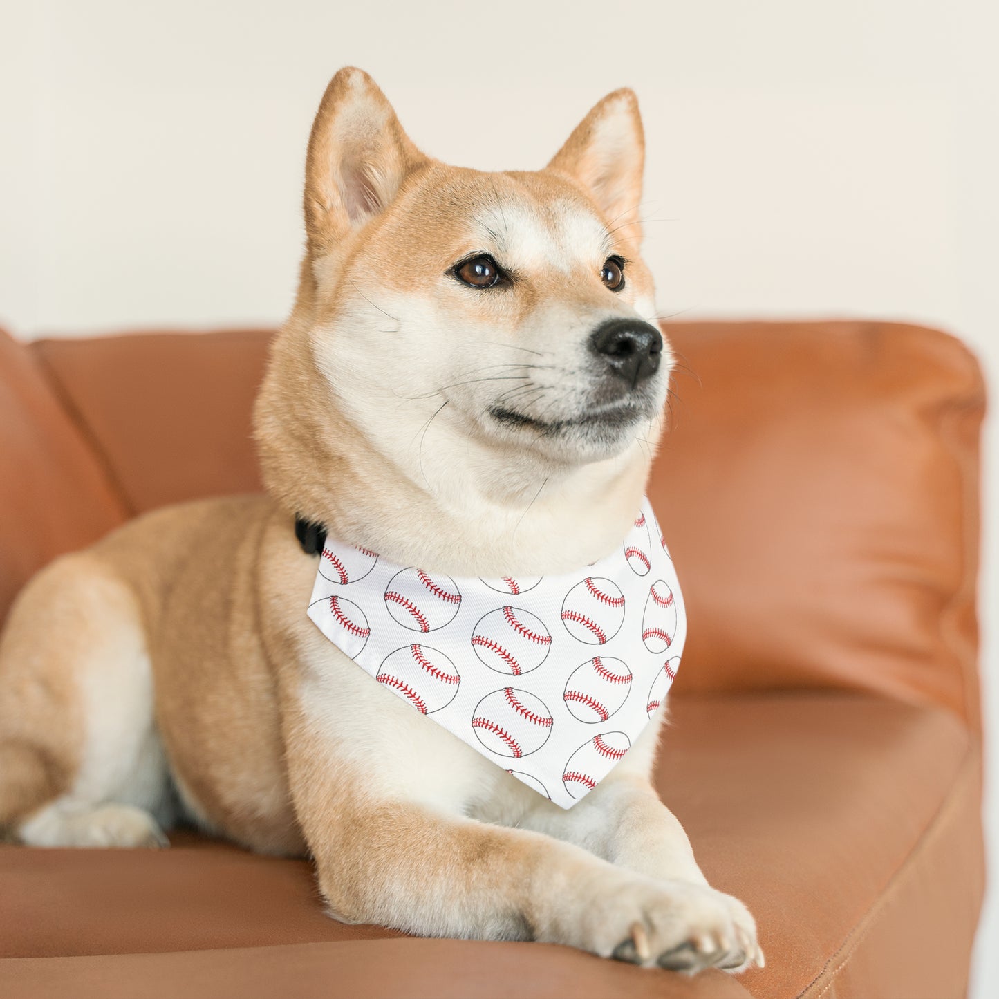 Baseball ~ Pet Bandana Collar